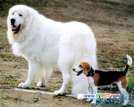 20060208013419.jpg