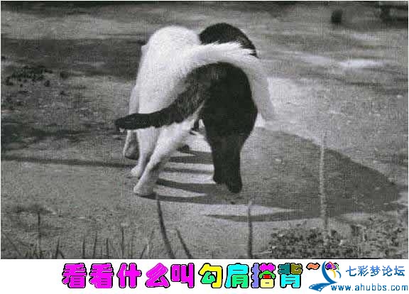 200501301820139001.jpg