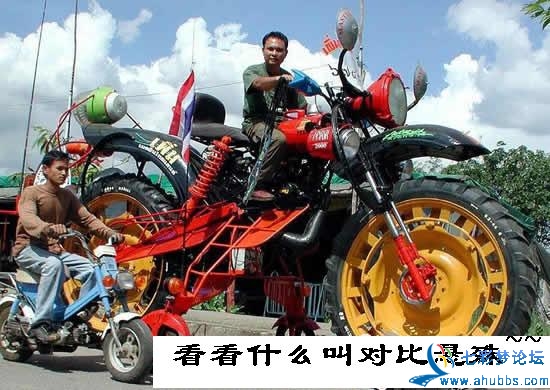 200501301820121728.jpg