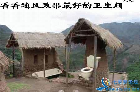 20050130182011495.jpg