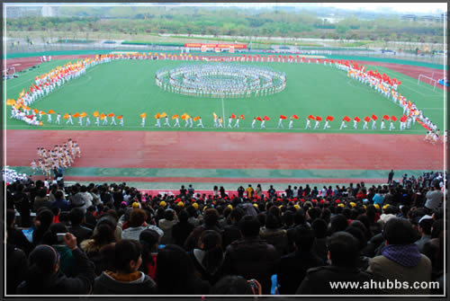 安大48运动会1.jpg